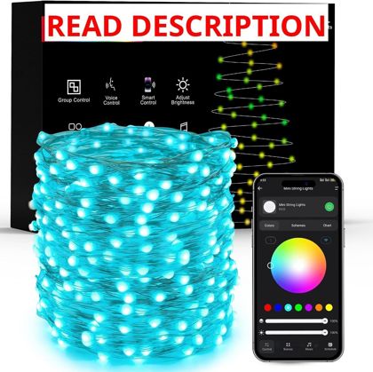 Brizled Smart Fairy Lights 66FT RGB LED Lights