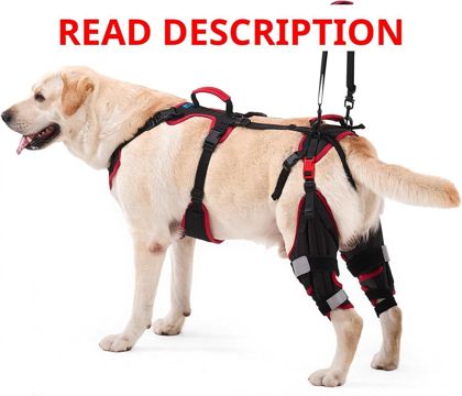 Dog Knee Brace for Torn ACL (Set of 2) Medium