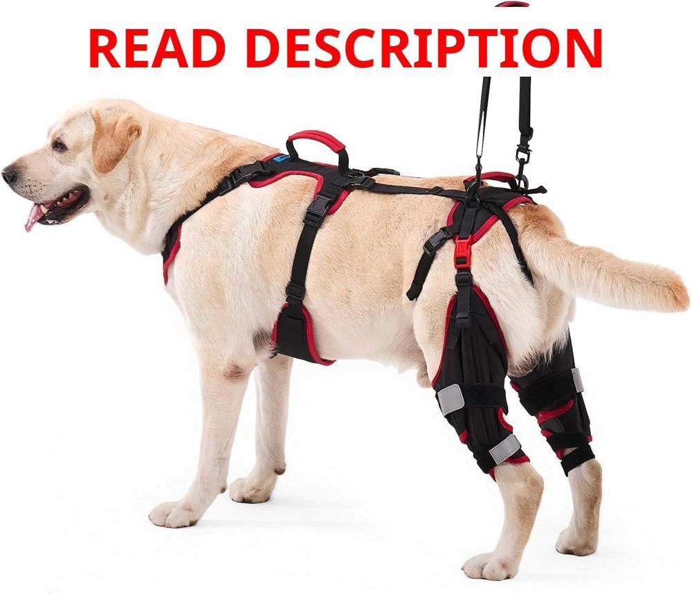 Dog Knee Brace for Torn ACL (Set of 2) Medium