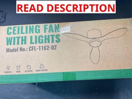 Ceiling Fan with Lights