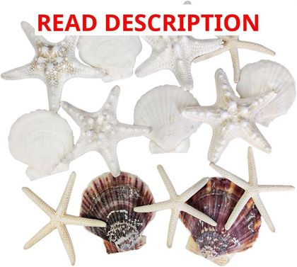 HappyFiller Seashells & Starfish Decor 2-3"