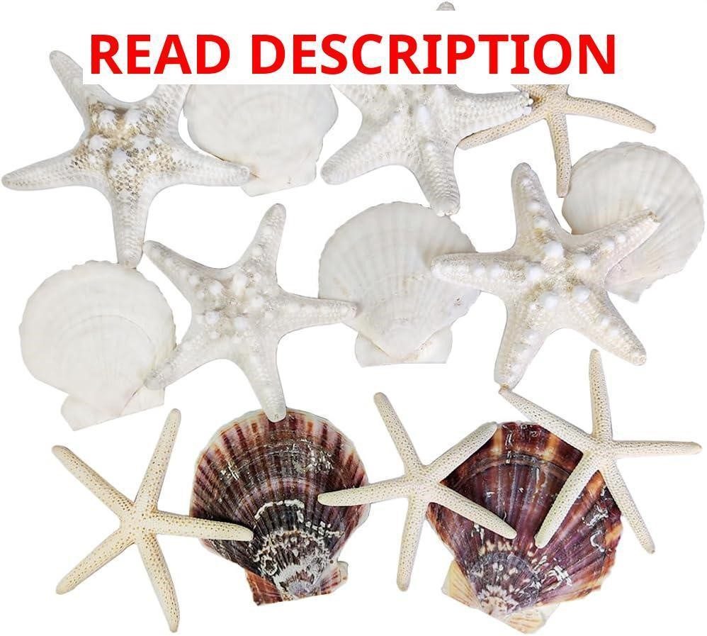HappyFiller Seashells & Starfish Decor 2-3"
