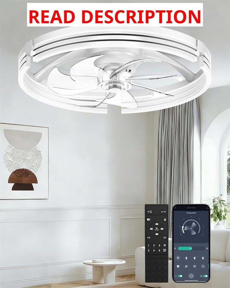 AIKVSXER 20" Ceiling Fan with Lights