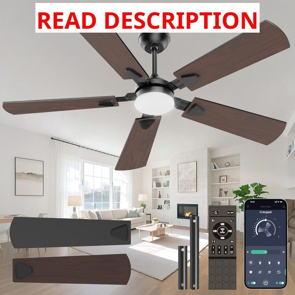 52" Ceiling Fan with Lights DC Motor