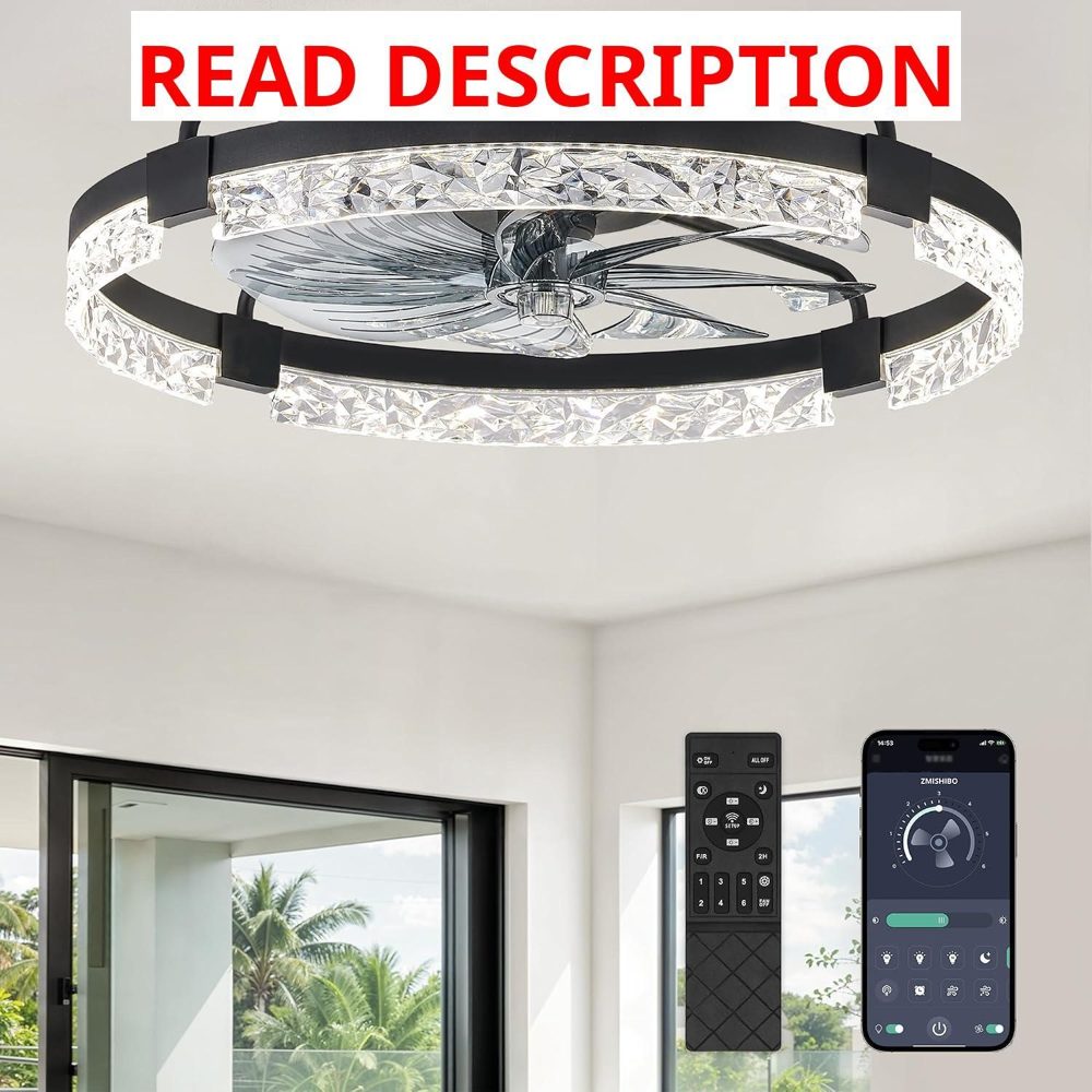 ZMISHIBO 24" Ceiling Fan with Lights Remote