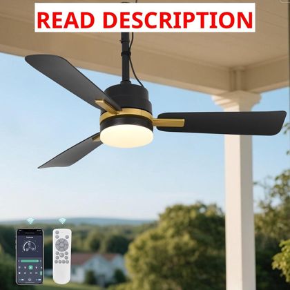 AHAWILL 42" Outdoor Ceiling Fan with Lights