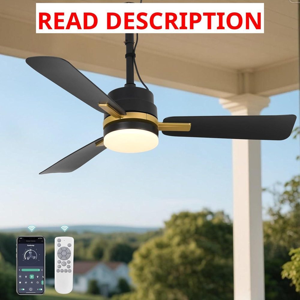 AHAWILL 42" Outdoor Ceiling Fan with Lights