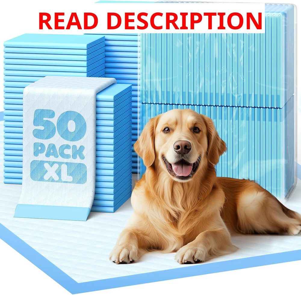 XL Pee Pads 50 Regular | 6-Layer Leakproof