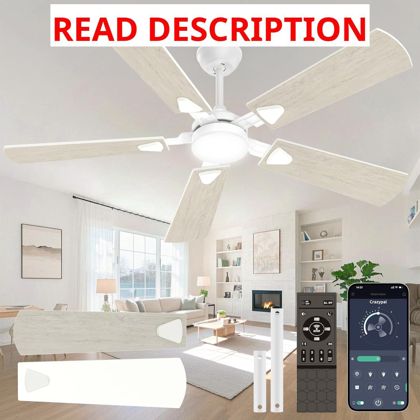 52" Ceiling Fan with Lights DC Motor