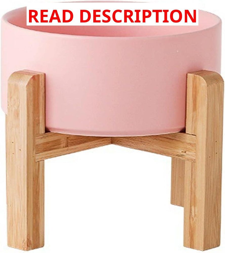 Petygooing Pink Elevated Ceramic Dog Bowl