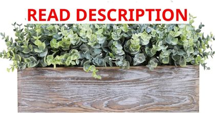 Winlyn 14" Artificial Eucalyptus in Planter