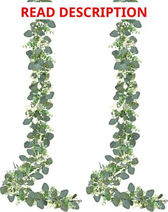 Sggvecsy 2 Pack Eucalyptus Garland