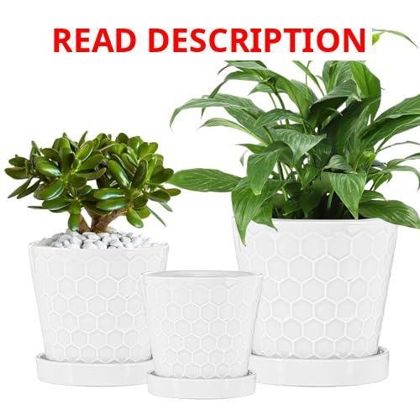 Ceramic Plant Pots Set 4/5/6" w Drainage Holes