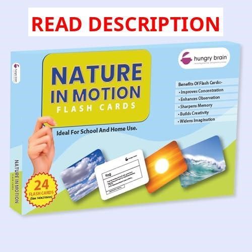 Hungry Brain Flash Cards for Toddlers 3M-6Y