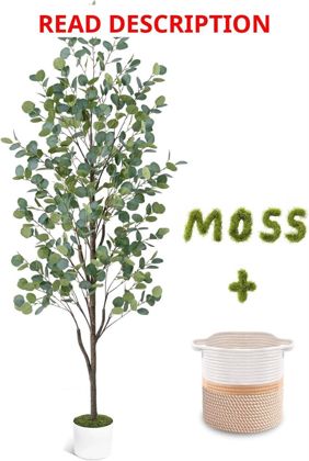 6ft Fake Eucalyptus Tree with Trunk & Planter