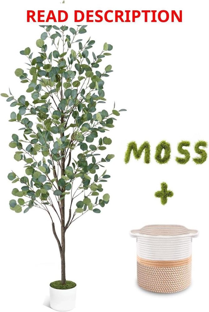 6ft Fake Eucalyptus Tree with Trunk & Planter