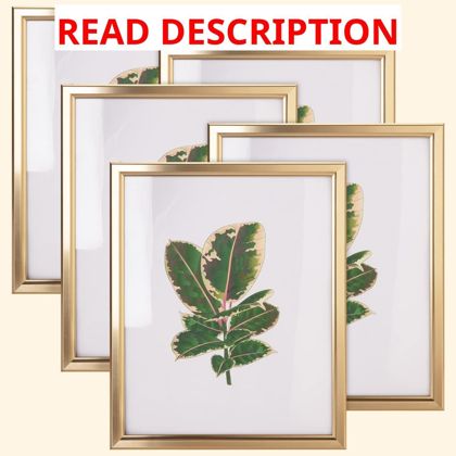 8x10 Picture Frame Set of 5 Matte Gold