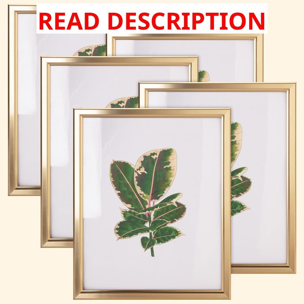 8x10 Picture Frame Set of 5 Matte Gold