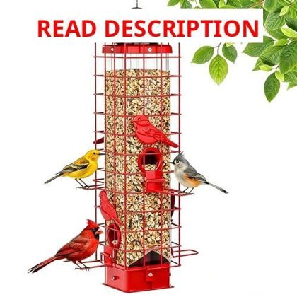 Squirrel-Proof Bird Feeder 3LB