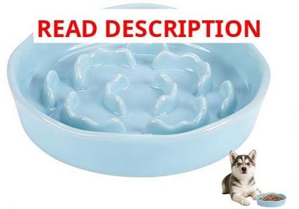 Ceramic Slow Feeder Dog Bowl Non-Slip Dish