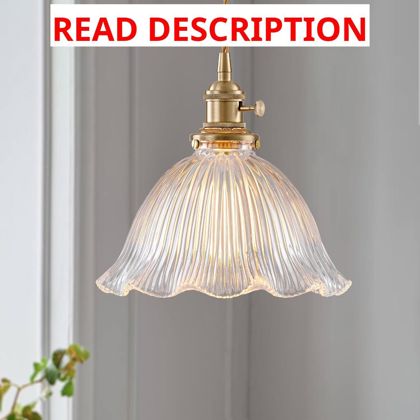 Vintage Brass Pendant Light with Glass Shade