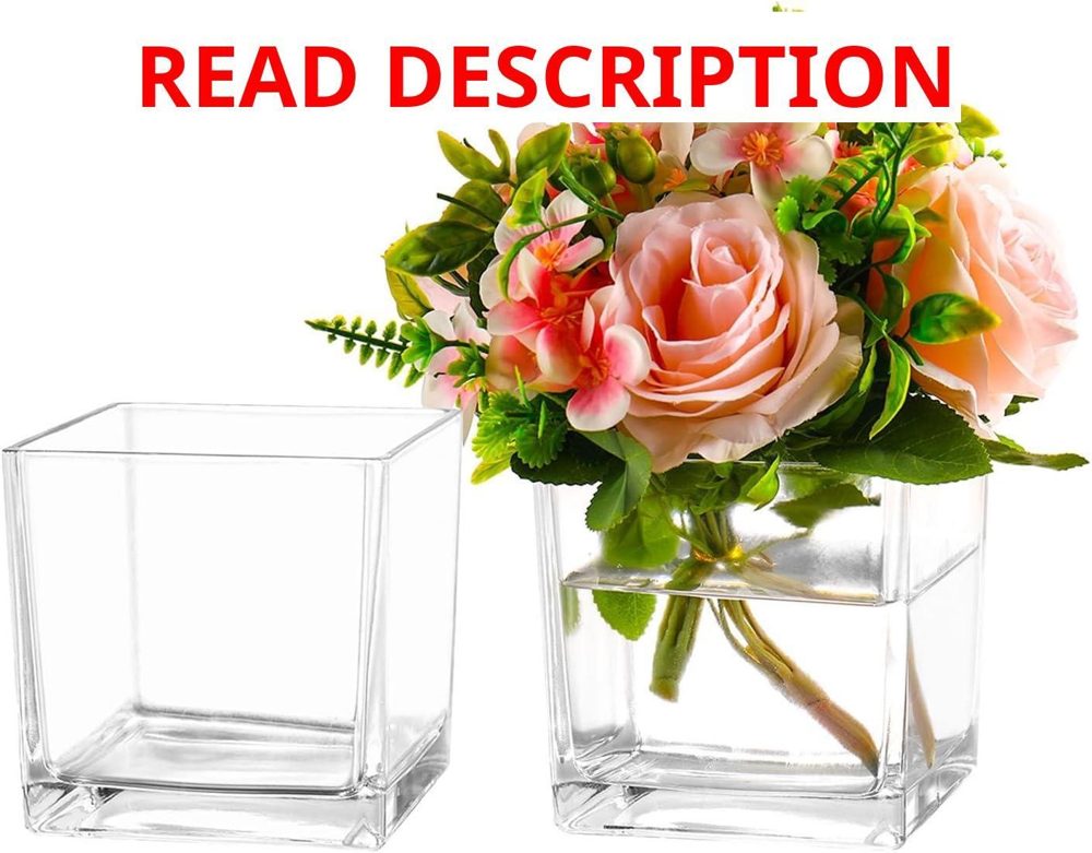 Square Clear Glass Vases Set of 2 6" Vase