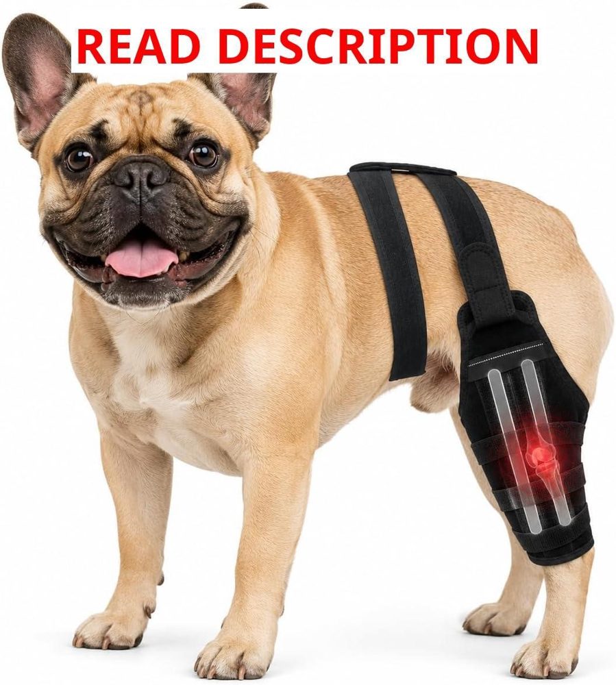 ACL Dog Knee Brace for Hind Leg Anti-Slip