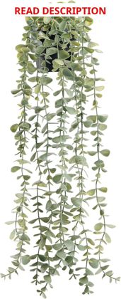 Der Rose 24" Eucalyptus Hanging Wall Art Decor