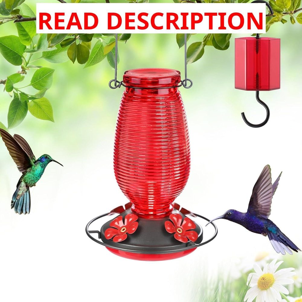 FEED GARDEN Glass Hummingbird Feeder 20oz Red