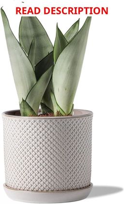 5.8" Ceramic Plant Pot with Drainage & Saucer