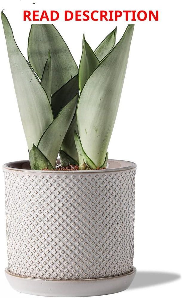 5.8" Ceramic Plant Pot with Drainage & Saucer