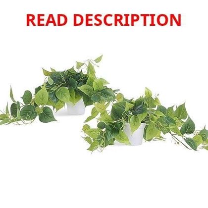 Tiita Artificial Pothos Plants in Pots 2 Pack