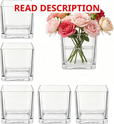 6 Pcs Square Glass Vase 5" Cube Vases