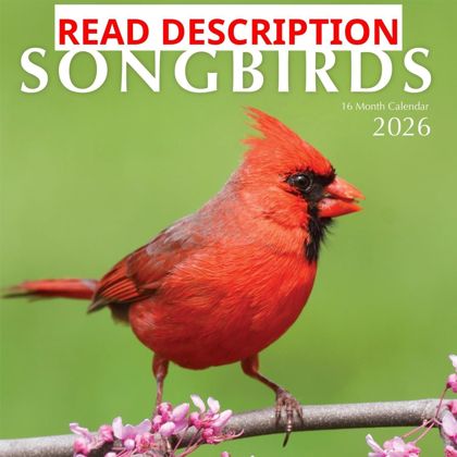 16-Month Calendar 2026: Wall Birds Calendar