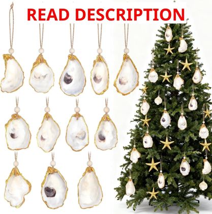 12Pcs Oyster Shell Ornaments Concave Shells