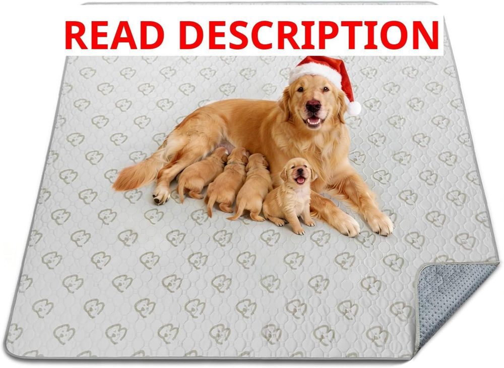 FXW Washable Pee Pads for Dogs 63" Square