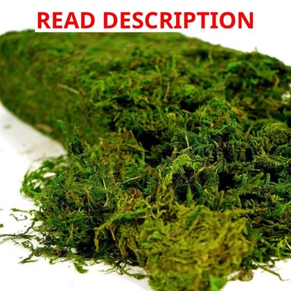USMOLA Artificial Moss 16oz for Crafts & Decor