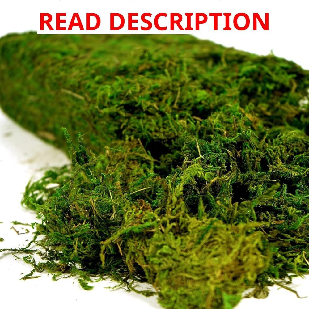 USMOLA Artificial Moss 16oz for Crafts & Decor