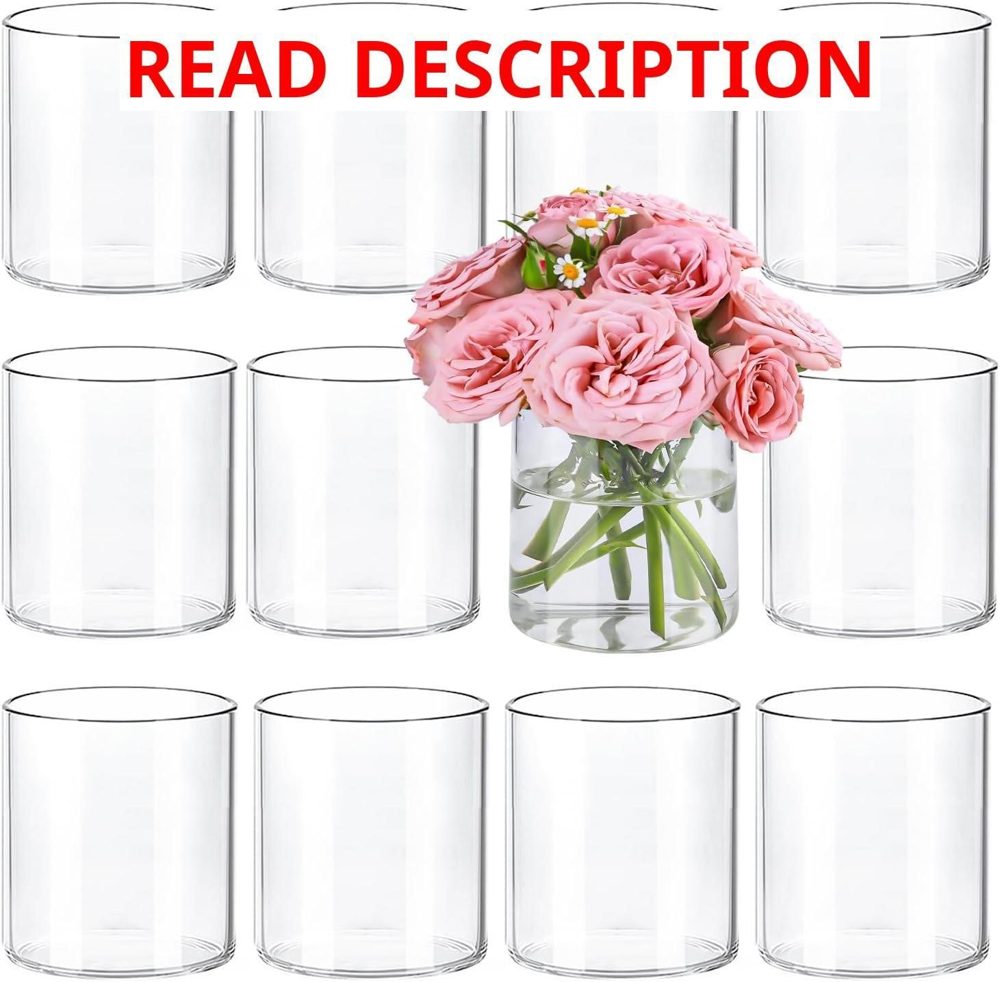 TBWIND 12pcs 4" Clear Glass Cylinder Vases