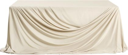Lings Moment Cappuccino Velvet Tablecloth 9x11