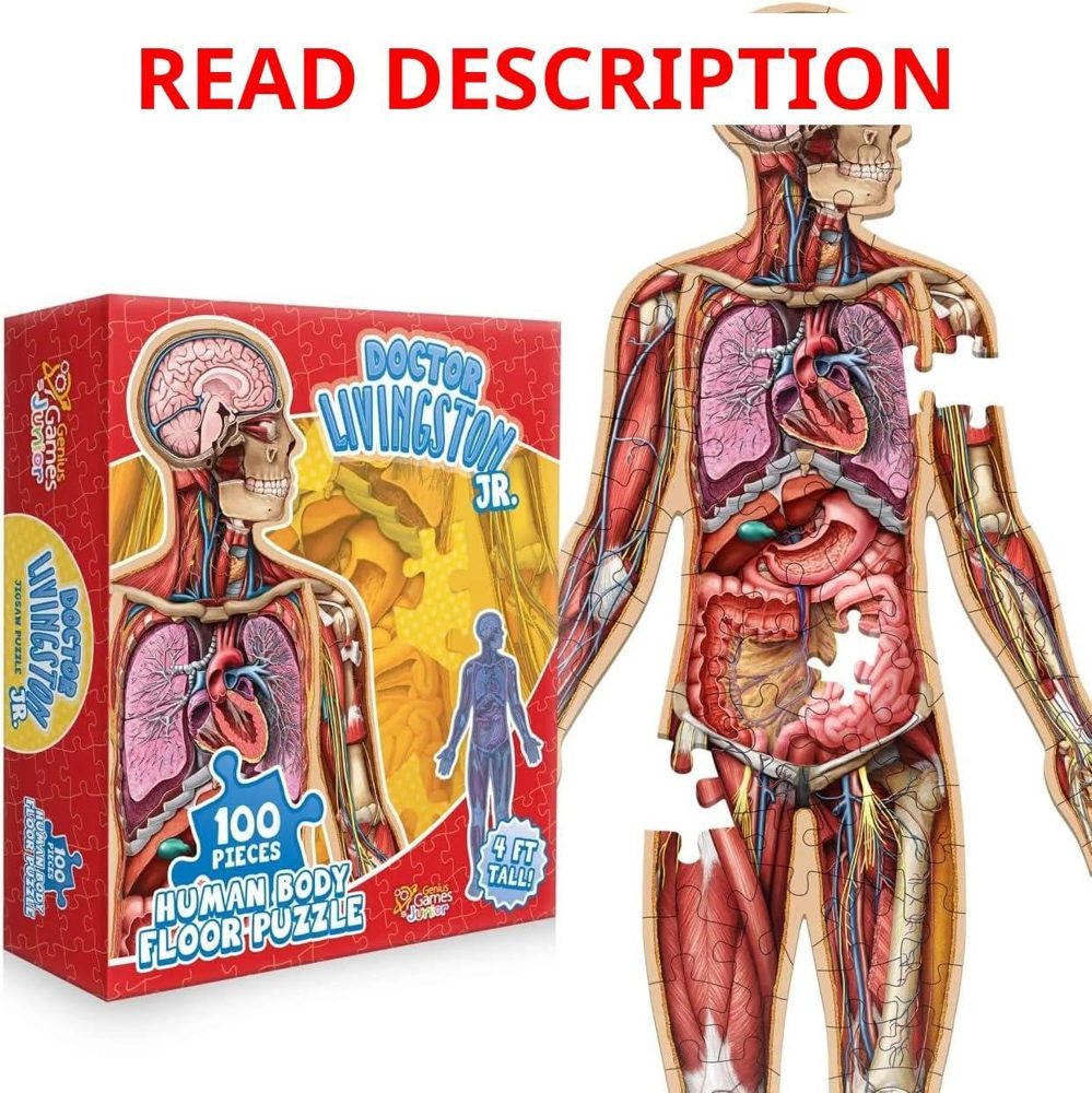 Human Anatomy Floor Puzzle - Dr Livingston Jr