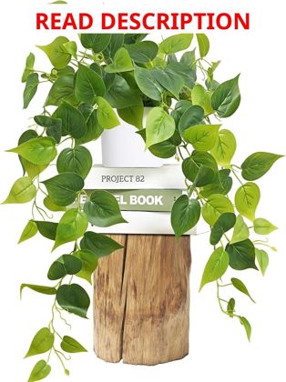Fake Plants Indoor 34" Hanging Pothos Vines
