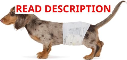 Amazon Basics Absorbent Dog Diapers 50-Pack