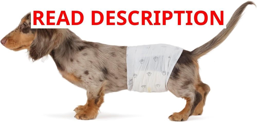 Amazon Basics Absorbent Dog Diapers 50-Pack